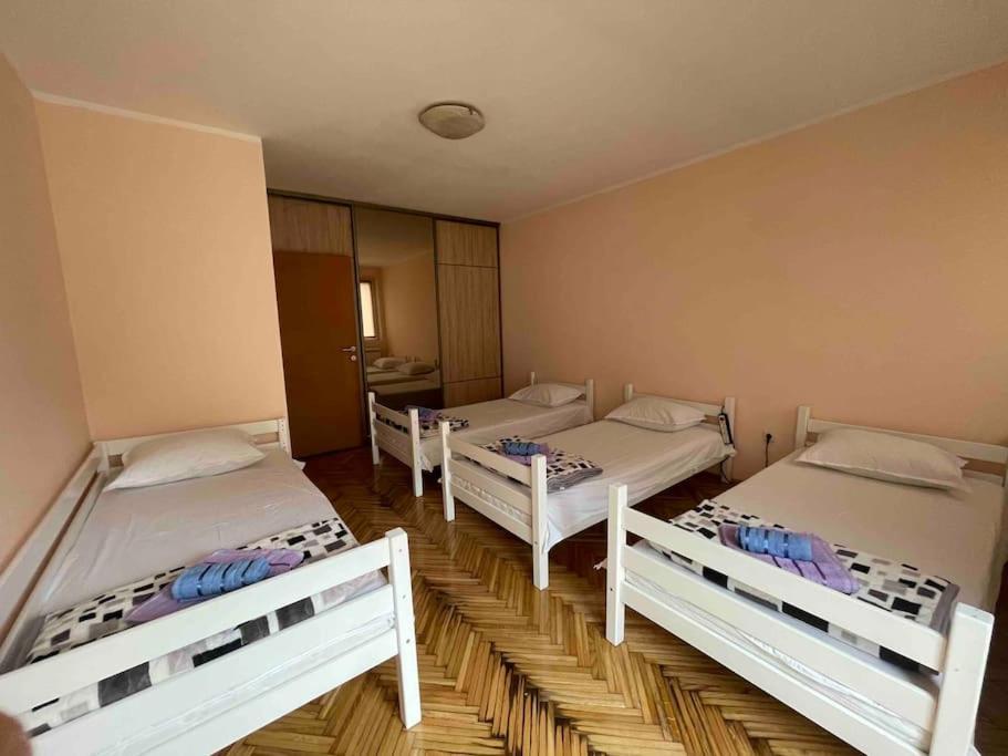 Bg Sunflower Apartment Bělehrad Exteriér fotografie